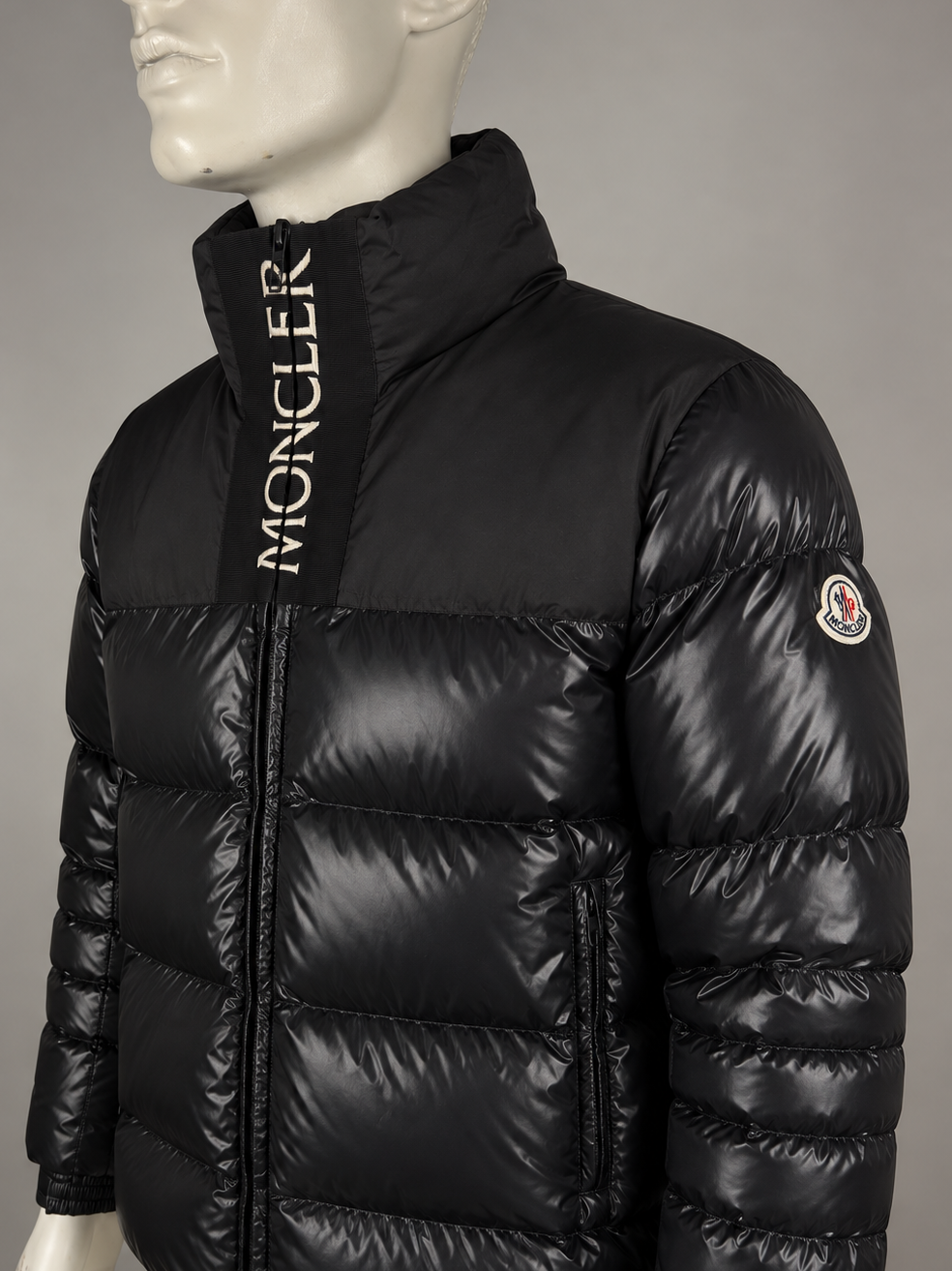 Moncler Bruel Down Jacket (4/L)